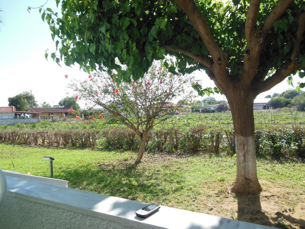 Helonata Apartments Arkoudi Bagian luar foto