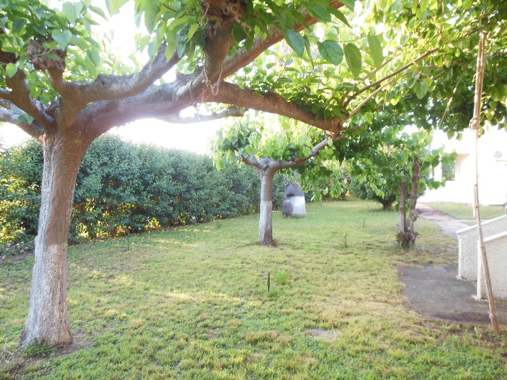 Helonata Apartments Arkoudi Bagian luar foto