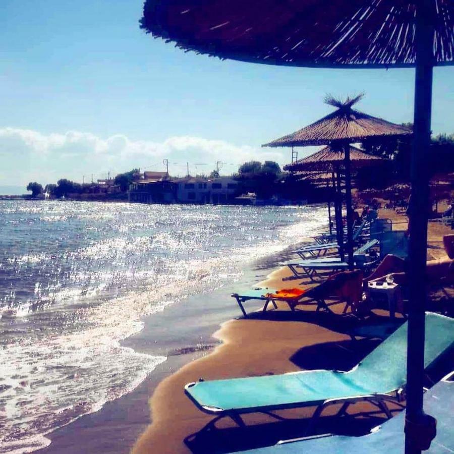 Helonata Apartments Arkoudi Bagian luar foto